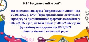 Текст абзацу (4)